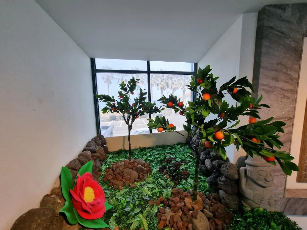 Sea Cliff Hotel Jeju 3*,  Zuid-Korea